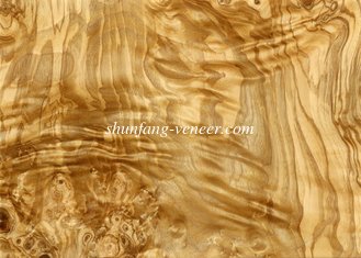 China Olive Ash Burl Natural Wood Veneer for Panel Door and Furniture Industry from www.shunfang-veneer-com.ecer.com supplier