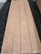 Red Oak Wood Veneer supplier