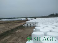 Good Quality Agricultural Use Special Hay Wrap Silage Film