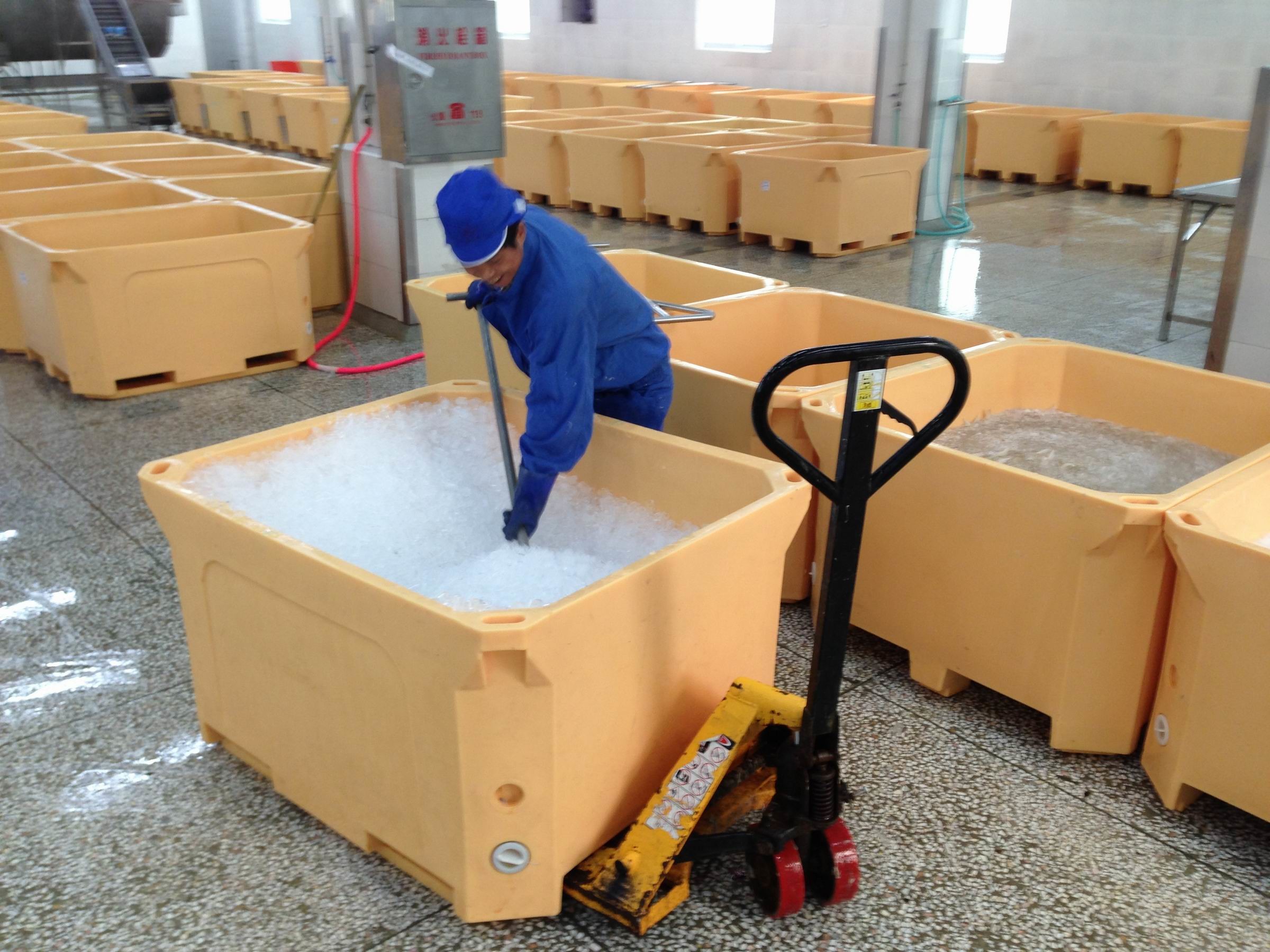Cold chain for fish market and super markets insulation boxes ,Power-free portable container , Insulated Delivery Box ,