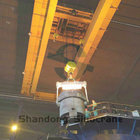 Customized 5t-320t New Type QDY Foundry Overhead Crane with Reasonable Price