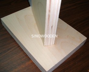 China Birch F/B Poplar Plywood supplier