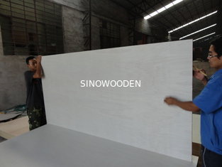 China Full Poplar Plywood supplier