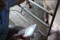 mini ultrasound portable made in China ultrasound veterinary