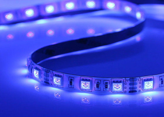 China Waterproof RGB SMD 5050 LED Strip Light High Brightness CE / RoHs supplier