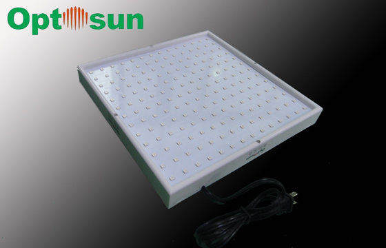 China White 182pcs 28W LED Panel Grow Light supplier