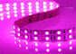 Waterproof SMD 5050 LED Strip Light For Supermarket CE / RoHs Certificate supplier