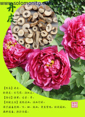 ISO & GMP Certified 98% paeoniflorin chinese herbaceous peony extract powder