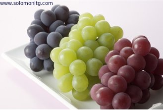 No essence no pigment Instant Grape powder factory price (Vitis vinifera L)