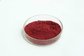 high quality cranberry fruit powder sample free--Cranberry juice