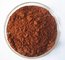 Pure Natural Grape Seed Extract Powder with 70%-85% polyphenols (UV) --Vitis vinifera L