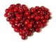 For beverage cranberry juice powder new product Cranberry extract Cranberry fruit extract