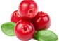 High quality Cranberry Powder for drinks Cranberry juice powder