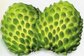 Anti-cancer high quality 100% pure soursop extract-Annona Muricata L. supplier