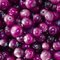Anti-oxidant 100% natural 4:1 maqui berry extract--Aristotelia chilensis