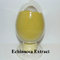 Factory Supply Echinacea Root Extract With 4.0% Chicoric acid