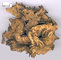 Hot Sale:100% natural black cohosh powder black cohosh extract--Cimcifuga racemosa