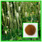 100% natural black cohosh powder black cohosh extract -Triterpene Glycosides supplier