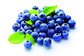 no pigment no essence Natural Fruit Nutritional Blueberry Extract Blue Berry Fd Powder supplier
