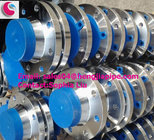 class300 flanges weld neck raised face(RF)