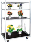 Flower Plant Vegetable display steel trolly cart