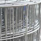 Heavy Welded Mesh Rolls|PVC Coated Mesh with 50 x 50mm Square Hole