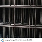Black Welded Wire Mesh |Made by Low Carbon Wire 12bwg~27bwg with 1/4"~2"