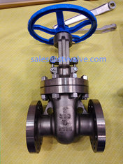 ANSI 300Lb Titanium gate valve,DN50
