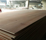Good quality E1 commercial plywood for making furniture from china manufacturer