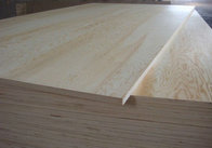 Hardwood plywood factory from China, marine plywood, water proof glue plywood