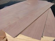 Plywood factory/plywood manufacturer