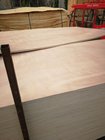 High Quality Okoume/ Bingtago/Poplar/Birch Commercial Plywood