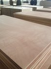 Competitive price with Good Quality Okoume face poplar core e2 glue Commercial Plywood