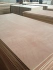 bintangor / okoume marine grade plywood