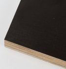 construction -black film faced plywood-shuttering plywood 6mm 9mm 12mm 15mm 18mm 20mm 25mm