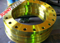 RTJ Flanges, Ring Type Joint Flange
