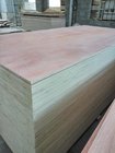 Brand Name 18mm Bintangor Plywood Poplar Core for Packing