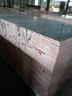 13,15,18,20mm Melamine Glue Poplar Core Film Faced Plywood