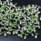 Silver Framed Rivets Rhinestone Settings 5-11mm Glass Studs DIY Dog Collar Decorations Wallets Belt Accessories Trimming supplier