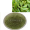 Food Grade 500mesh Mulberry Leaf Powder Pure Natural
