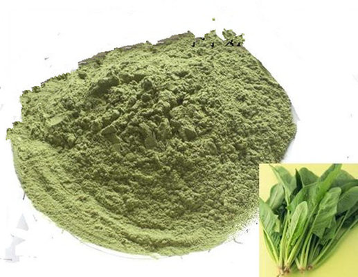 Top Quality 100% Pure Spinach Powder Vegetable Powder Raw Food Factory Bulk Sale