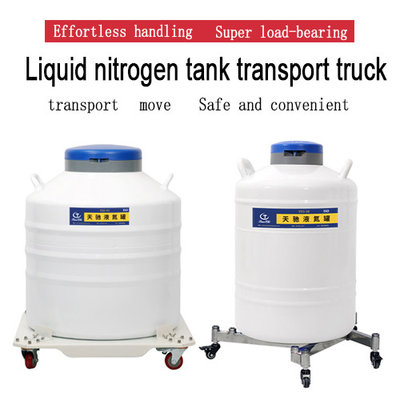 China Brazil Liquid Nitrogen Tank Floor Stand KGSQ cryogenic transport container supplier
