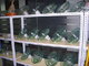 24 kv Anti-Fog Toughened Glass Insulator with glass material and disc insulator and manufactur supplier