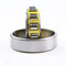 China supply NSK Brand cheap price auto cylindrical roller bearing NU1036-M1 supplier
