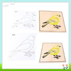 Tiger Montessori Materials - Bird Puzzle