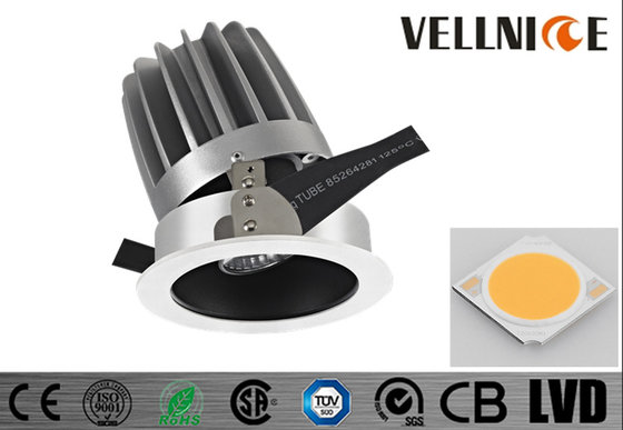 China Selling Adjustable Commercial Hotel Trim Recessed LED Fixture COB 30w/R3B0631 supplier