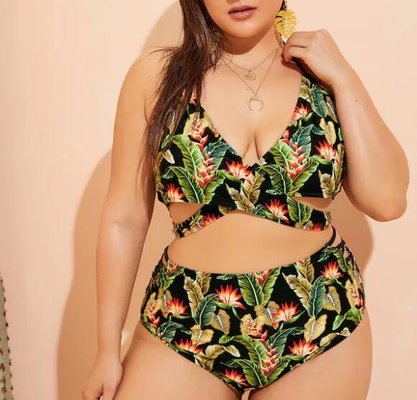 China 2019 New Plus SizeTwo piece  Swimsuit Women Push up supplier