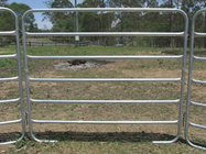 Cattle Panels