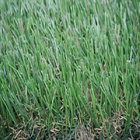Natural Looking Synthetic Grass for Wedding Decoration