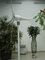 small wind turbine for home use, with CE supplier